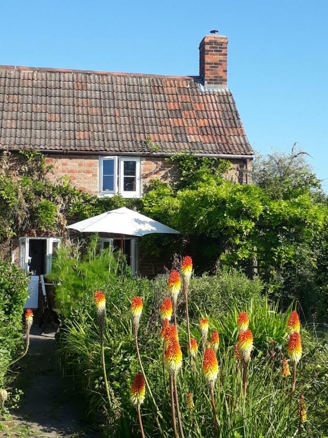 Morland Bed & Breakfast Burrowbridge Eksteriør bilde
