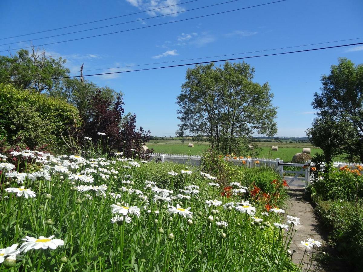 Morland Bed & Breakfast Burrowbridge Eksteriør bilde